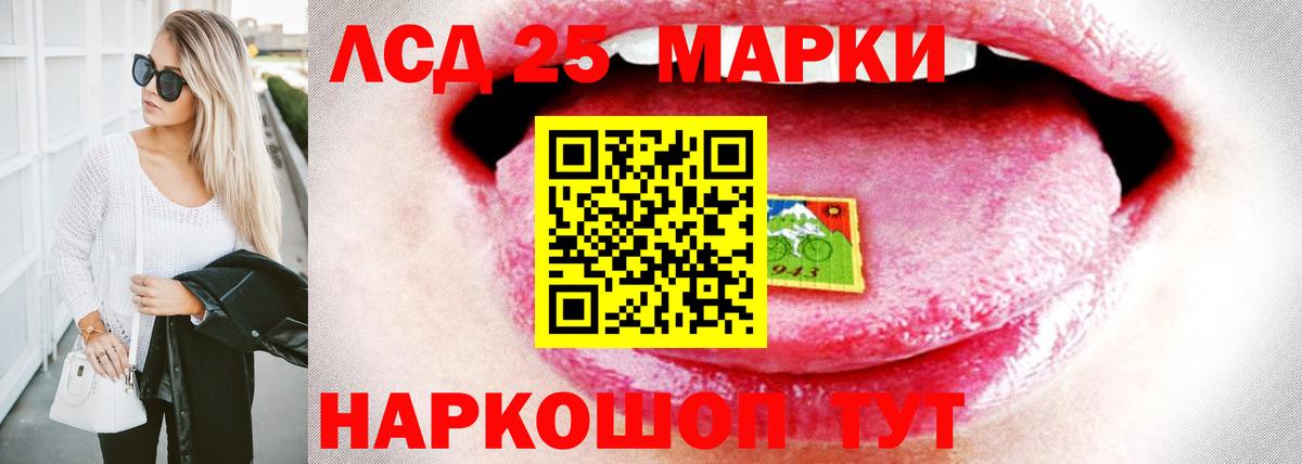 Новоалександровск  Лсд 25 экстази кислота  Лсд 25 экстази ecstasy  Вход с VPN 