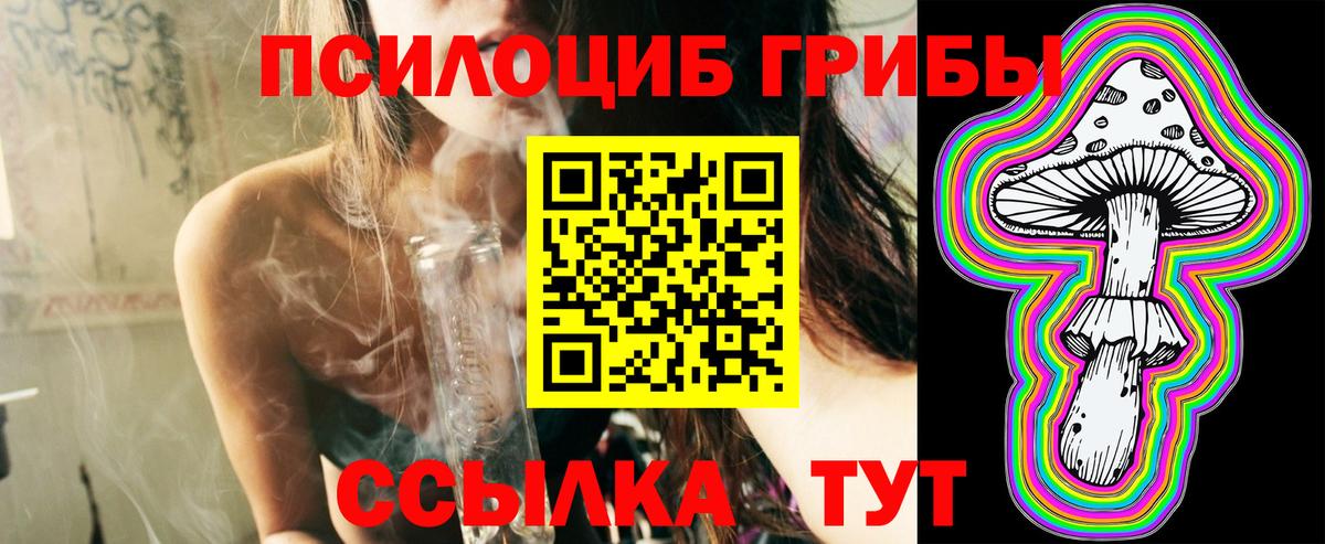 Псилоцибиновые грибы Psilocybe  Вход с VPN  Новоалександровск  Галлюциногенные грибы прущие грибы 